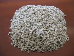 Manufacturers Exporters and Wholesale Suppliers of Cotton Seed Mahuva Gujarat